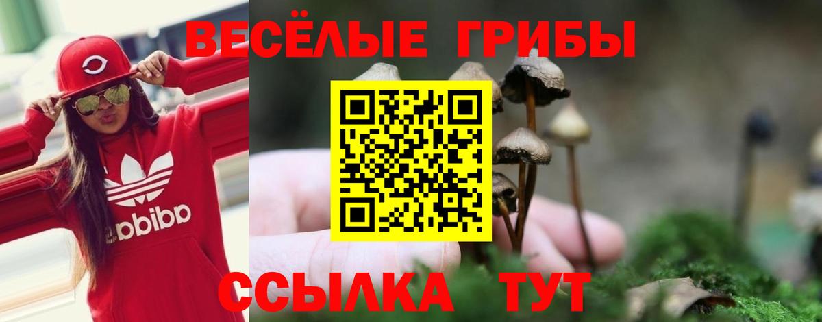 Галлюциногенные грибы GOLDEN TEACHER Шахты